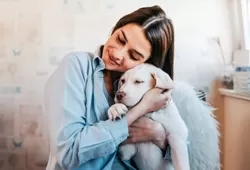 Köpek Bakımı